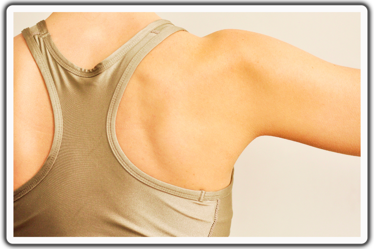 Significance of The Shoulder Anatomy