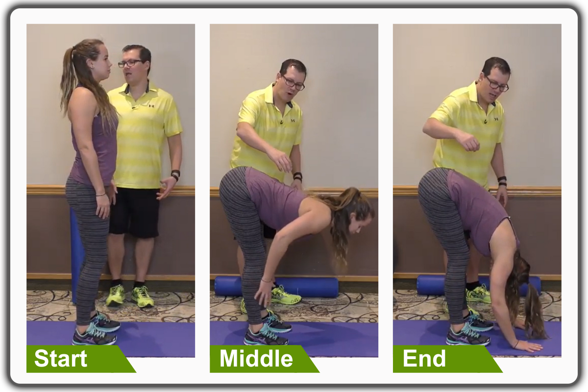 Forward Fold Movement 