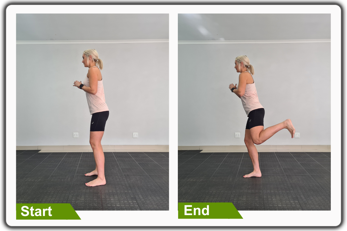Hamstring Curls
