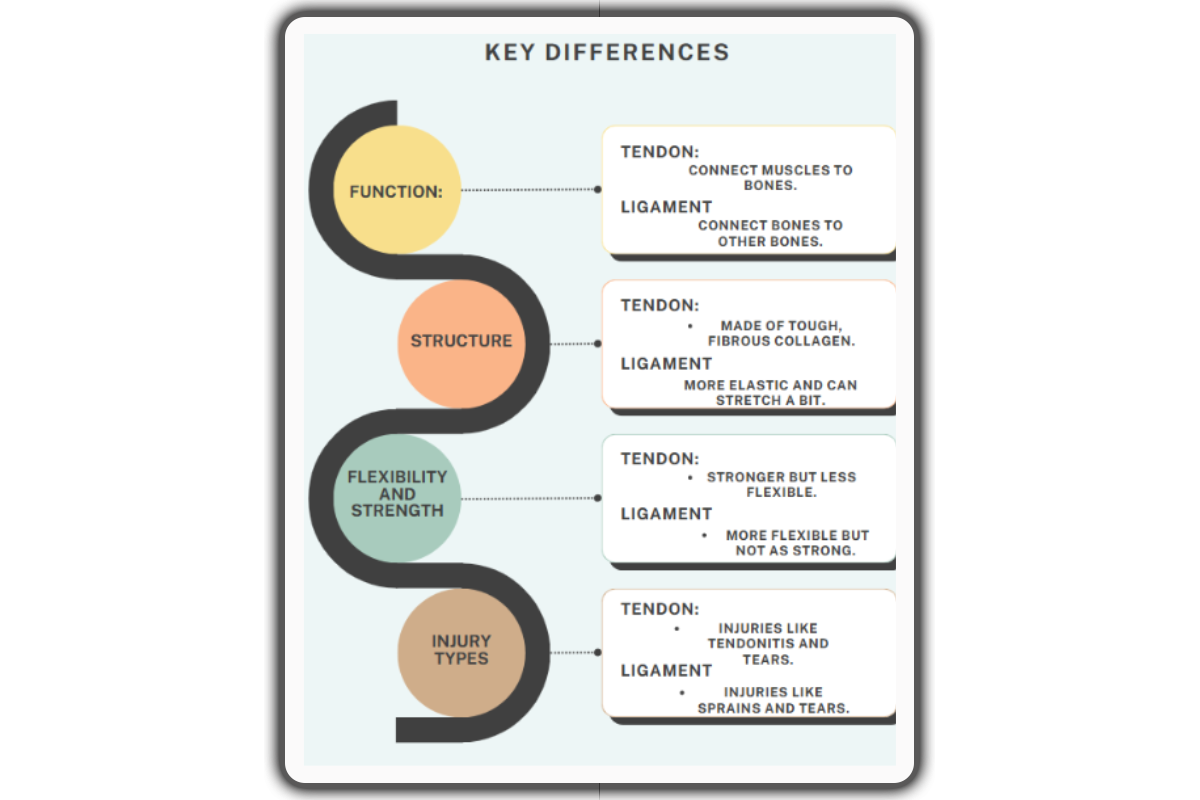 Key Differences