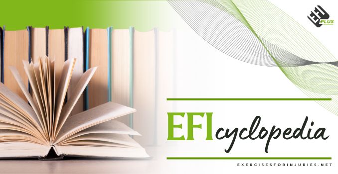 Month 20.EFIcy