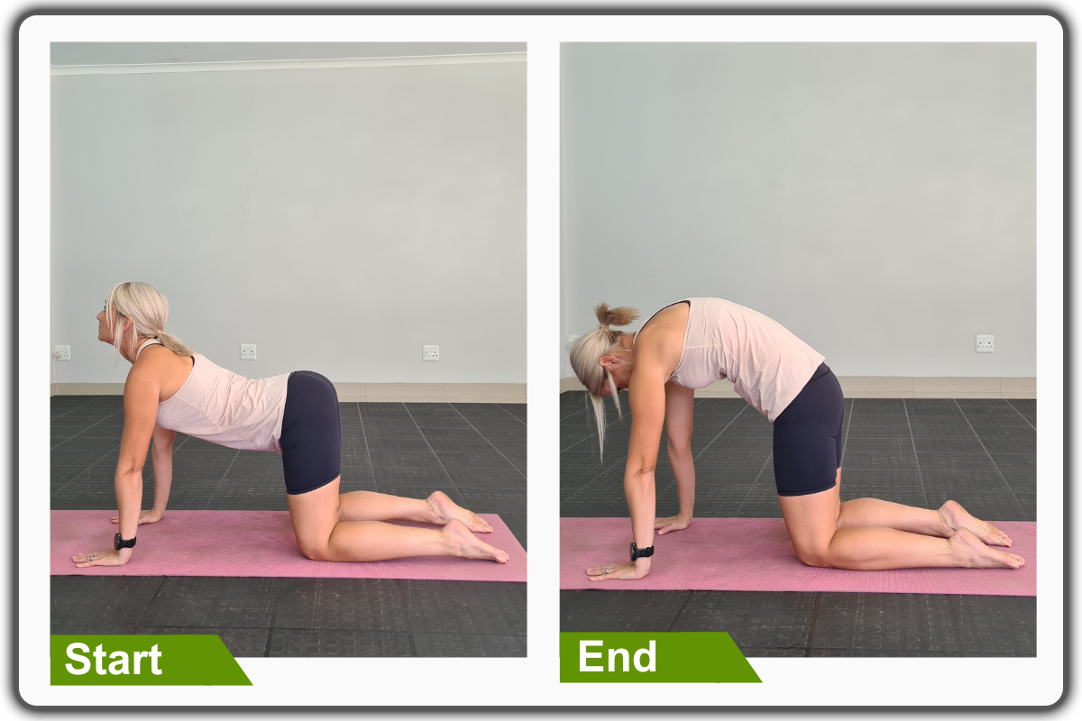 1. Cat-Cow Stretch